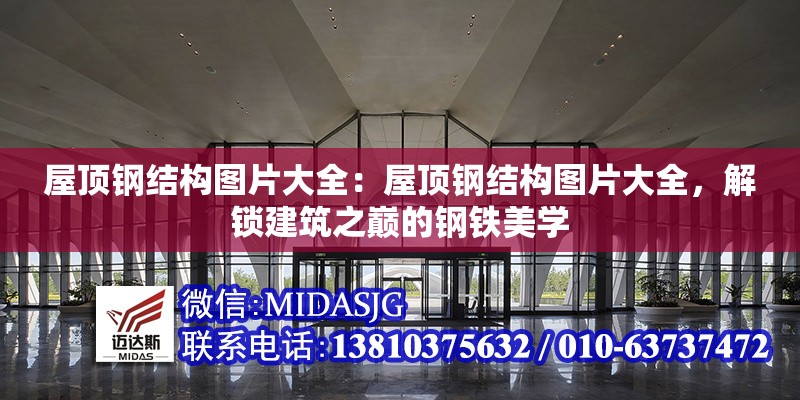屋頂鋼結(jié)構(gòu)圖片大全：屋頂鋼結(jié)構(gòu)圖片大全，解鎖建筑之巔的鋼鐵美學(xué)