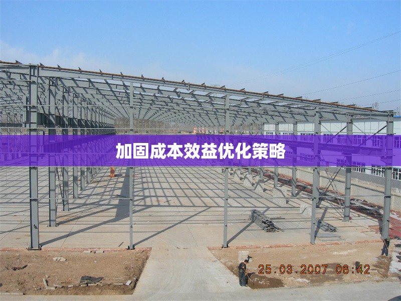 加固成本效益優(yōu)化策略 行業(yè)新聞 第1張
