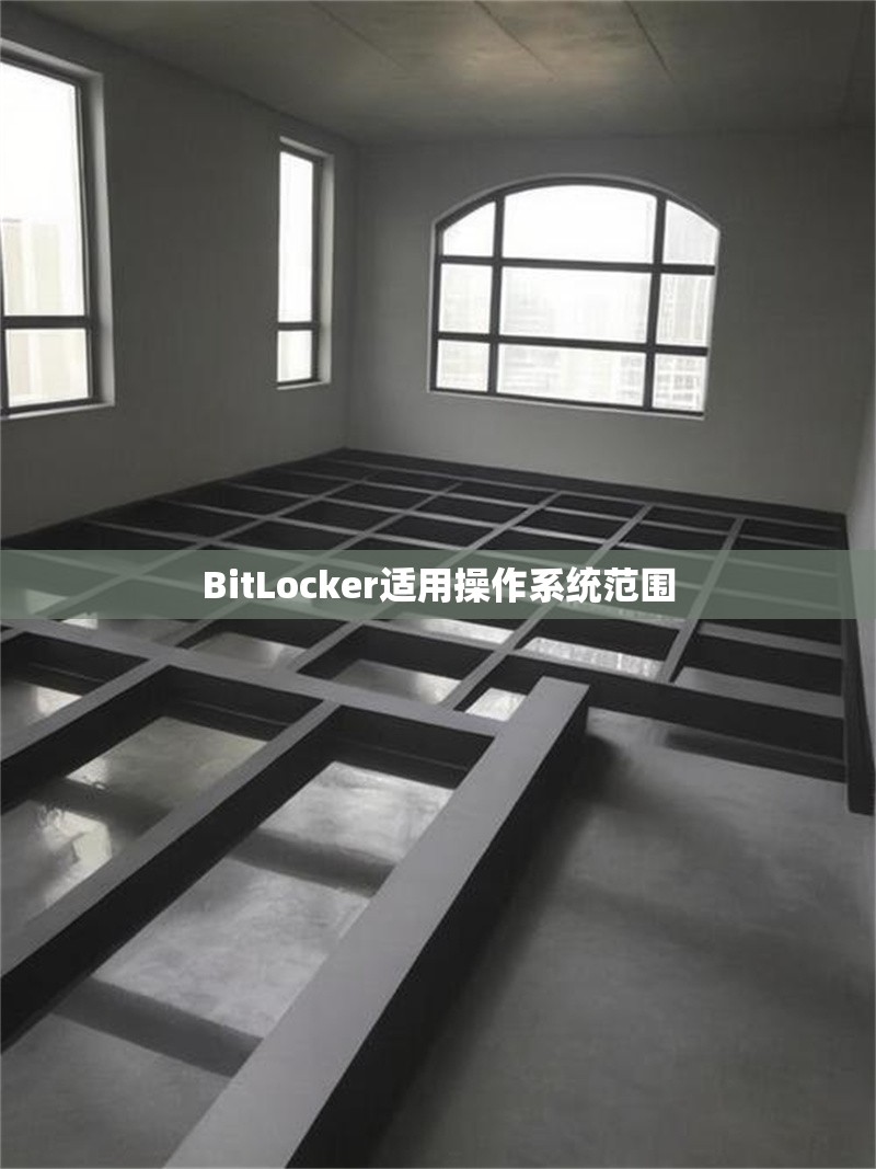 BitLocker適用操作系統(tǒng)范圍