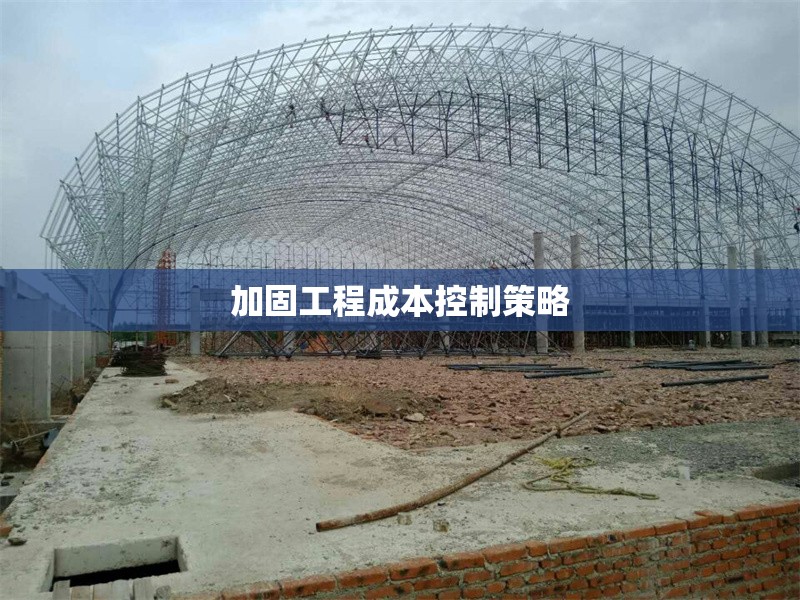 加固工程成本控制策略 行業(yè)新聞 第1張