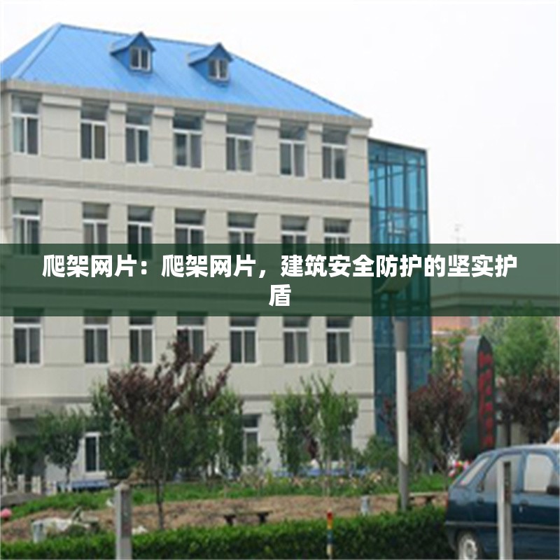 爬架網(wǎng)片：爬架網(wǎng)片，建筑安全防護(hù)的堅(jiān)實(shí)護(hù)盾 行業(yè)新聞