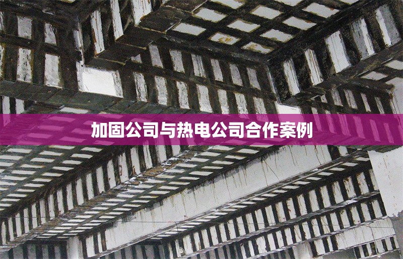 加固公司與熱電公司合作案例 行業(yè)新聞 第1張 加固公司與熱電公司合作案例 行業(yè)新聞 第1張