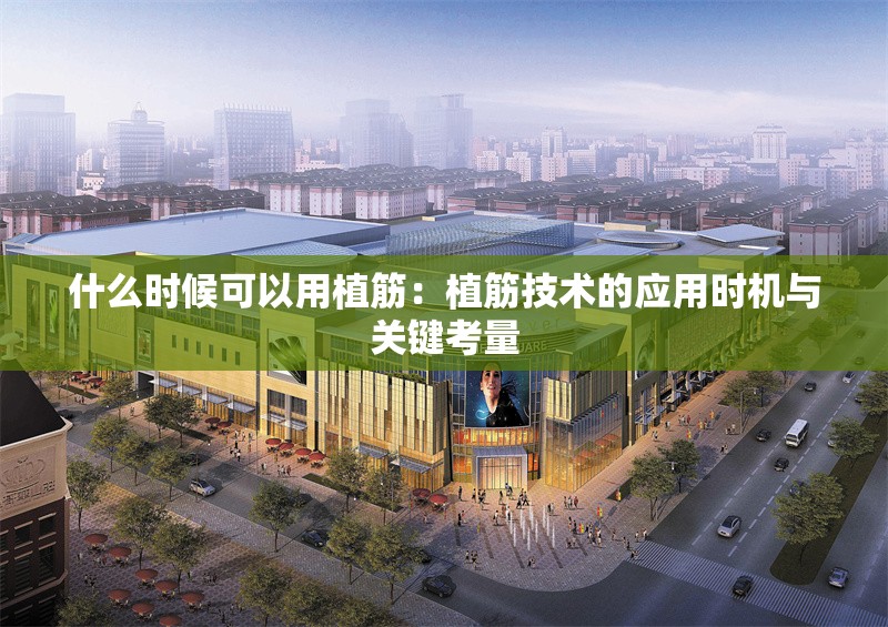 什么時(shí)候可以用植筋：植筋技術(shù)的應(yīng)用時(shí)機(jī)與關(guān)鍵考量 行業(yè)新聞