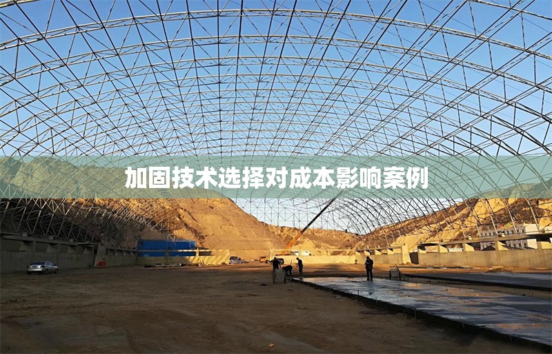 加固技術(shù)選擇對成本影響案例 行業(yè)新聞