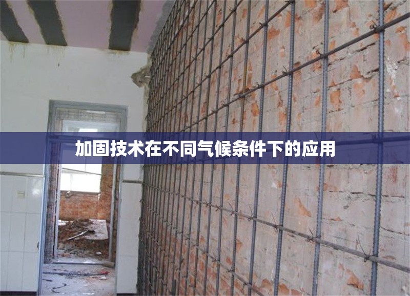 加固技術(shù)在不同氣候條件下的應(yīng)用 行業(yè)新聞 第1張