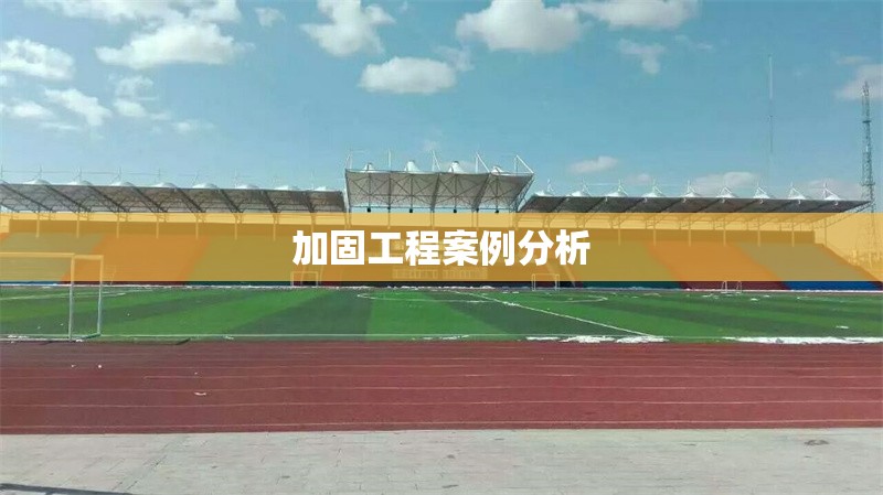 加固工程案例分析