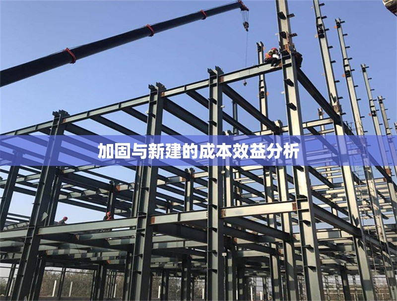 加固與新建的成本效益分析 行業(yè)新聞 第1張