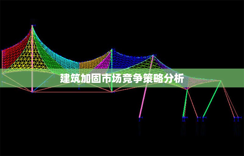 建筑加固市場競爭策略分析