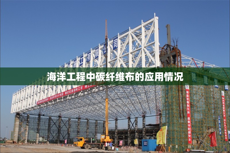 海洋工程中碳纖維布的應用情況 行業(yè)新聞 第1張 海洋工程中碳纖維布的應用情況 行業(yè)新聞 第1張