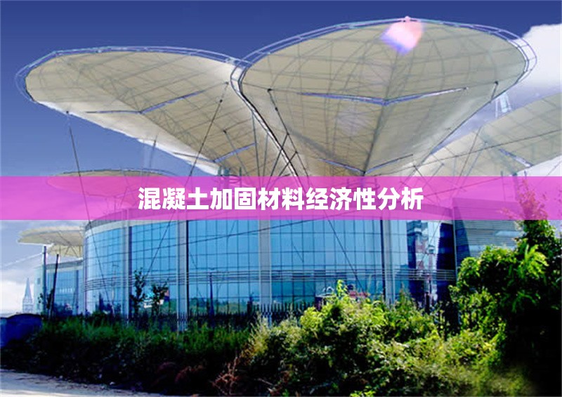 混凝土加固材料經(jīng)濟性分析 行業(yè)新聞 第1張 混凝土加固材料經(jīng)濟性分析 行業(yè)新聞 第1張