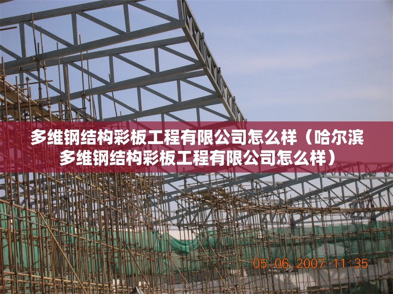 多維鋼結(jié)構(gòu)彩板工程有限公司怎么樣(哈爾濱多維鋼結(jié)構(gòu)彩板工程有限公司怎么樣) 行業(yè)新聞 多維鋼結(jié)構(gòu)彩板工程有限公司怎么樣(哈爾濱多維鋼結(jié)構(gòu)彩板工程有限公司怎么樣) 行業(yè)新聞