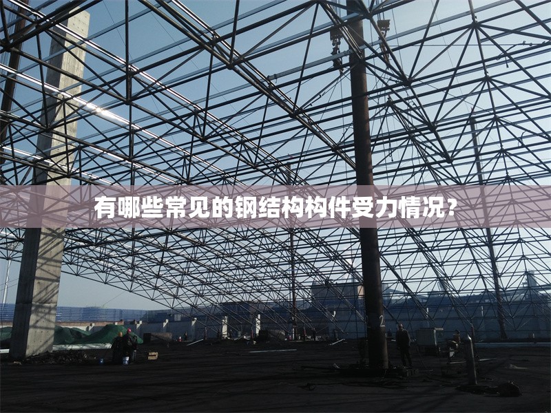 有哪些常見的鋼結構構件受力情況？ 行業(yè)新聞