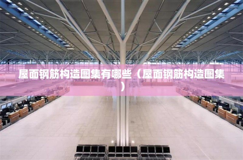 屋面鋼筋構(gòu)造圖集有哪些（屋面鋼筋構(gòu)造圖集）