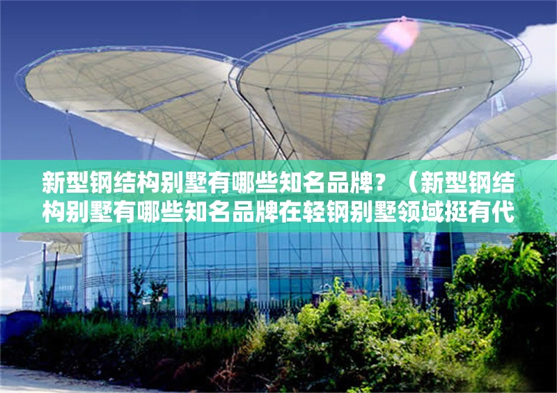 新型鋼結(jié)構(gòu)別墅有哪些知名品牌？（新型鋼結(jié)構(gòu)別墅有哪些知名品牌在輕鋼別墅領(lǐng)域挺有代表性的）