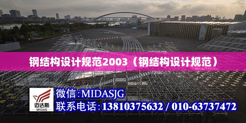 鋼結(jié)構(gòu)設(shè)計(jì)規(guī)范2003（鋼結(jié)構(gòu)設(shè)計(jì)規(guī)范）