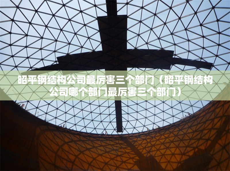 昭平鋼結構公司最厲害三個部門（昭平鋼結構公司哪個部門最厲害三個部門）