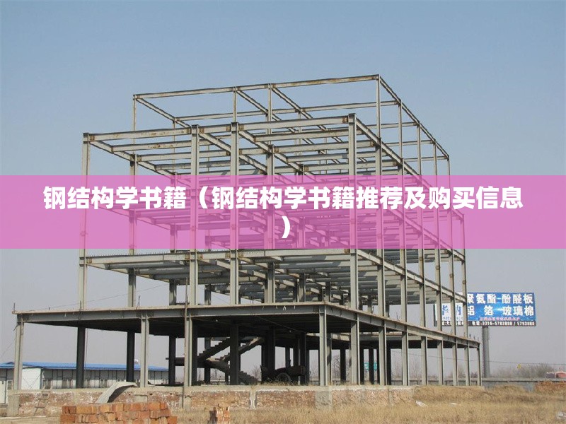 鋼結構學書籍（鋼結構學書籍推薦及購買信息）