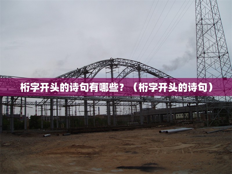 桁字開頭的詩句有哪些？（桁字開頭的詩句） 行業(yè)新聞