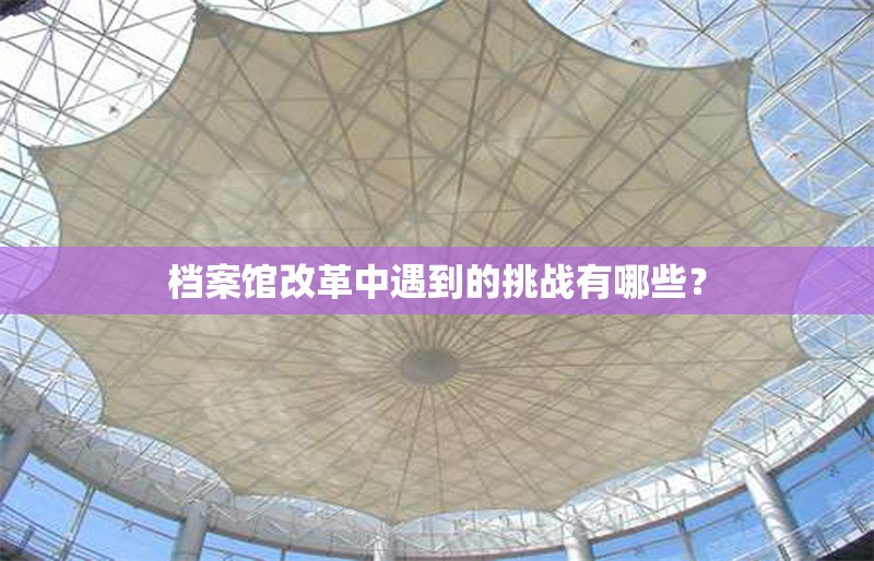 檔案館改革中遇到的挑戰(zhàn)有哪些？ 行業(yè)新聞