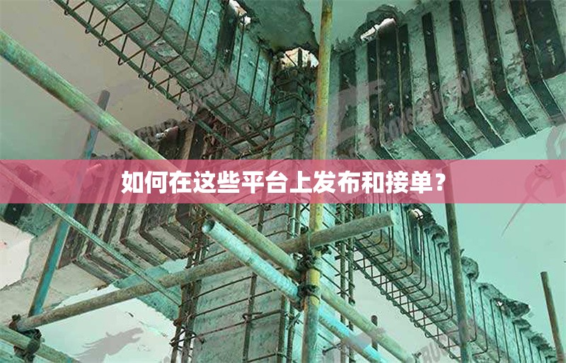 如何在這些平臺上發(fā)布和接單？