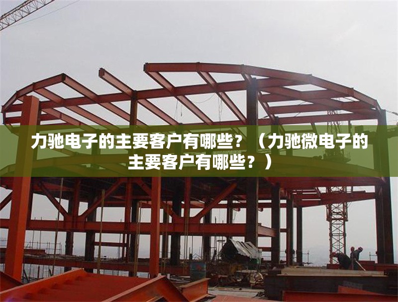 力馳電子的主要客戶有哪些？（力馳微電子的主要客戶有哪些？）