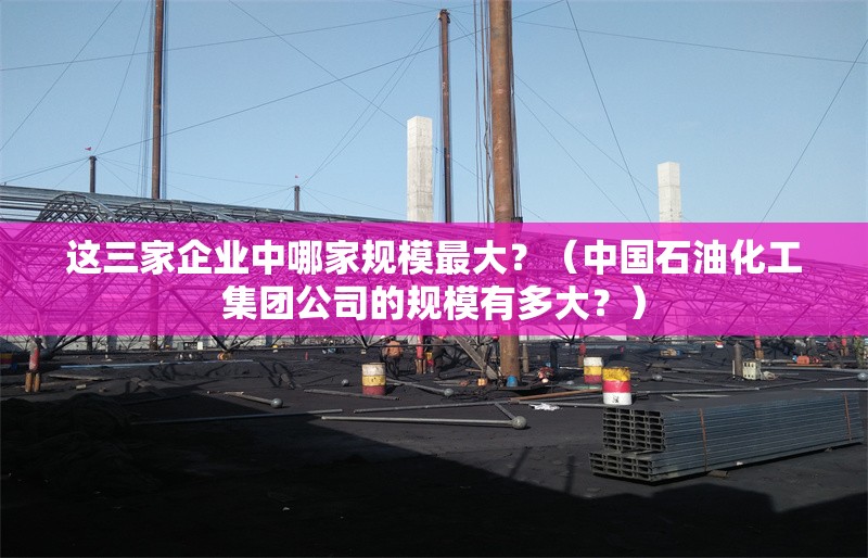 這三家企業(yè)中哪家規(guī)模最大？（中國石油化工集團公司的規(guī)模有多大？） 行業(yè)新聞
