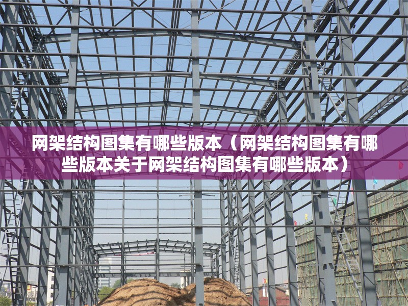 網(wǎng)架結(jié)構(gòu)圖集有哪些版本（網(wǎng)架結(jié)構(gòu)圖集有哪些版本關(guān)于網(wǎng)架結(jié)構(gòu)圖集有哪些版本）