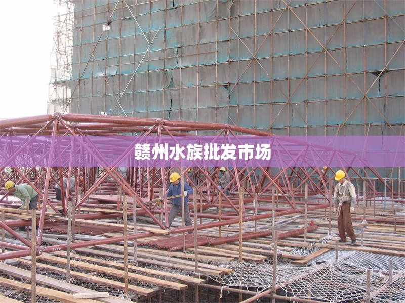 贛州水族批發(fā)市場(chǎng)