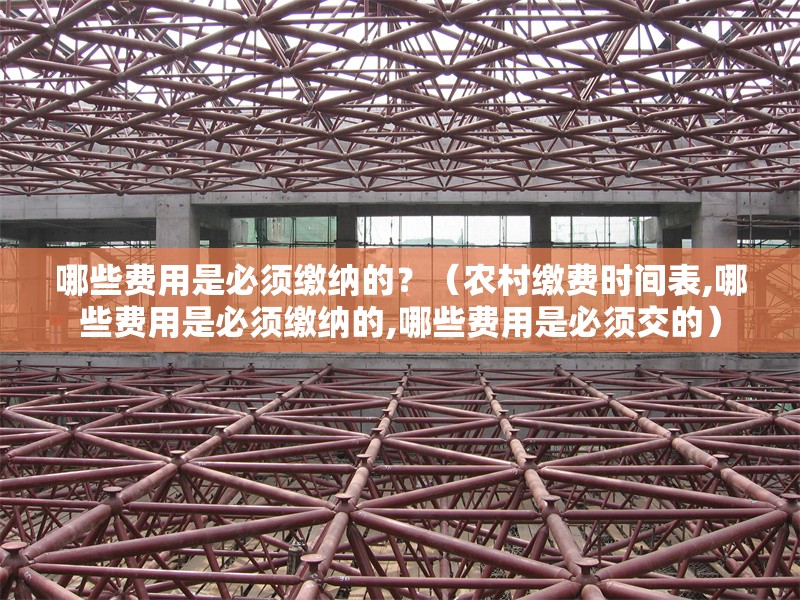 哪些費(fèi)用是必須繳納的？（農(nóng)村繳費(fèi)時(shí)間表,哪些費(fèi)用是必須繳納的,哪些費(fèi)用是必須交的）