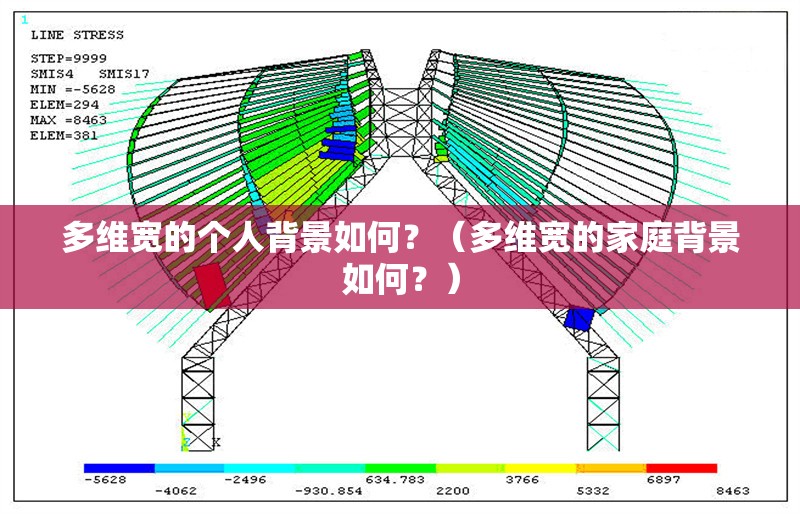 多維寬的個人背景如何？（多維寬的家庭背景如何？） 行業(yè)新聞