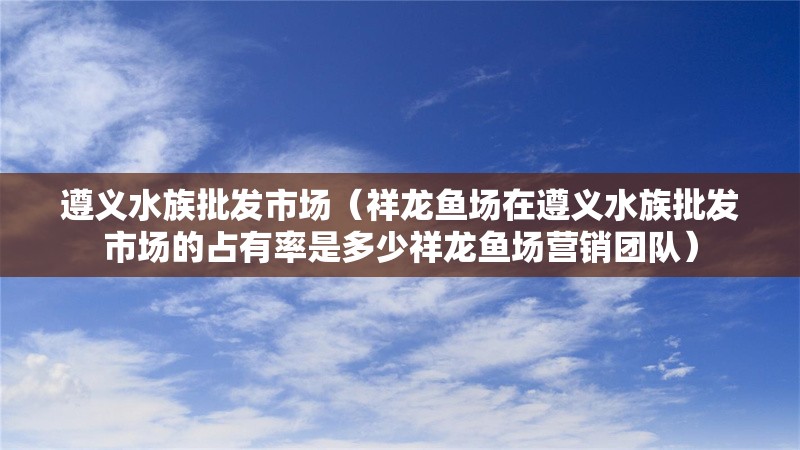 遵義水族批發(fā)市場（祥龍魚場在遵義水族批發(fā)市場的占有率是多少祥龍魚場營銷團隊）