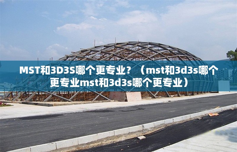 MST和3D3S哪個更專業(yè)？（mst和3d3s哪個更專業(yè)mst和3d3s哪個更專業(yè)） 行業(yè)新聞
