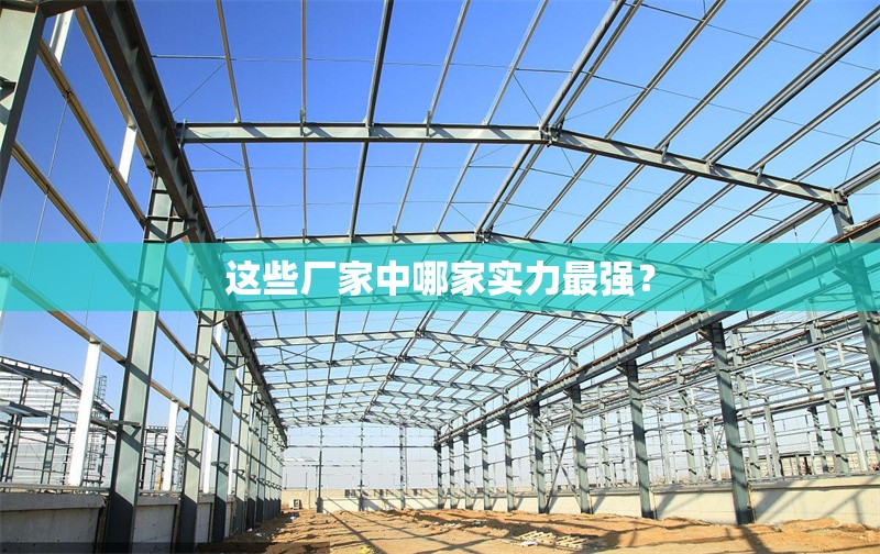 這些廠家中哪家實(shí)力最強(qiáng)？ 行業(yè)新聞