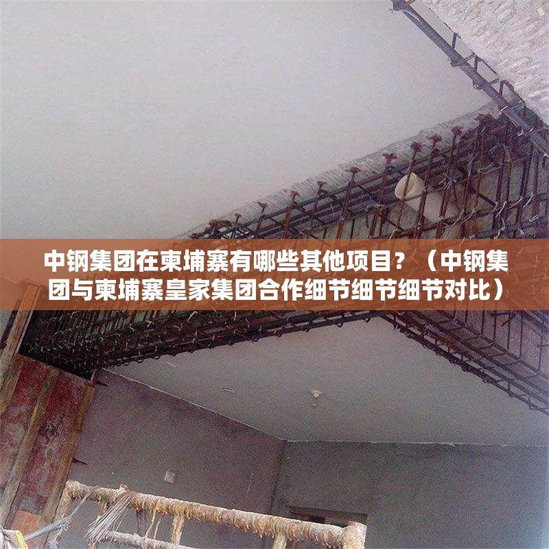 中鋼集團在柬埔寨有哪些其他項目？（中鋼集團與柬埔寨皇家集團合作細節(jié)細節(jié)細節(jié)對比）