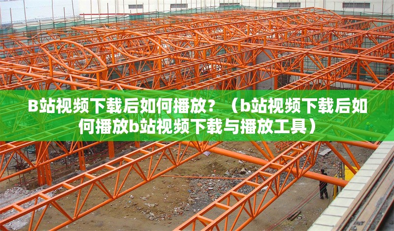 B站視頻下載后如何播放？（b站視頻下載后如何播放b站視頻下載與播放工具） 行業(yè)新聞
