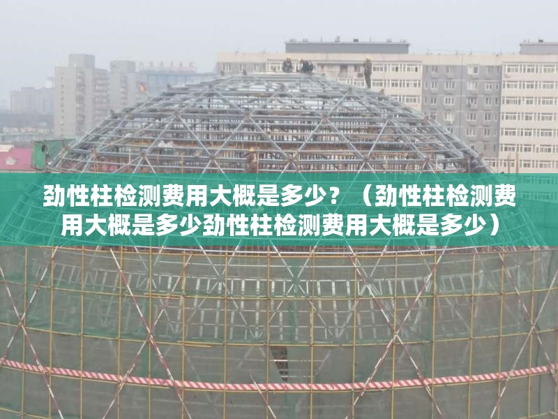 勁性柱檢測費用大概是多少？（勁性柱檢測費用大概是多少勁性柱檢測費用大概是多少） 行業(yè)新聞