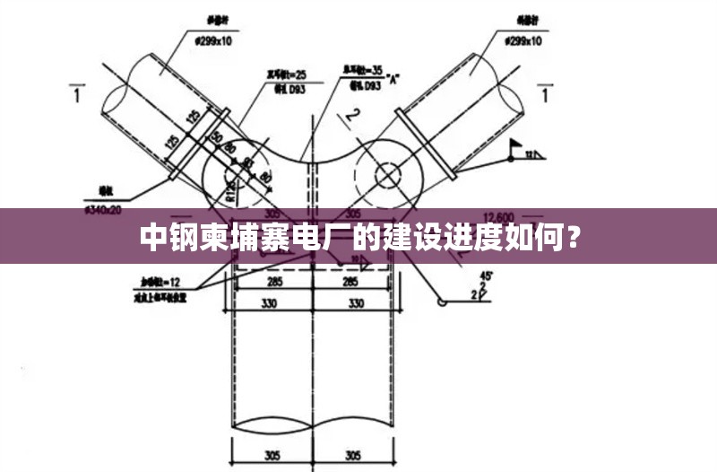 中鋼柬埔寨電廠的建設(shè)進(jìn)度如何？ 行業(yè)新聞