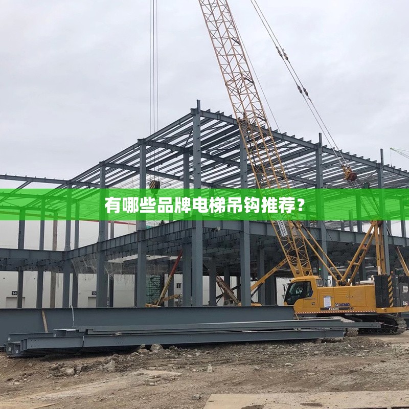 有哪些品牌電梯吊鉤推薦？ 行業(yè)新聞