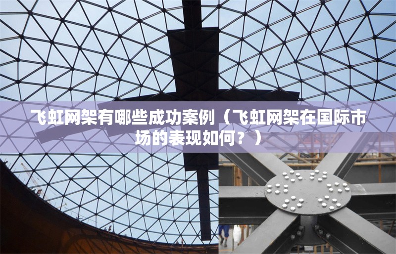 飛虹網(wǎng)架有哪些成功案例（飛虹網(wǎng)架在國際市場的表現(xiàn)如何？） 行業(yè)新聞
