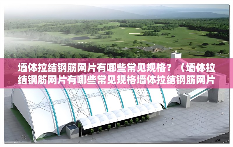 墻體拉結(jié)鋼筋網(wǎng)片有哪些常見規(guī)格？（墻體拉結(jié)鋼筋網(wǎng)片有哪些常見規(guī)格墻體拉結(jié)鋼筋網(wǎng)片的常見規(guī)格） 行業(yè)新聞