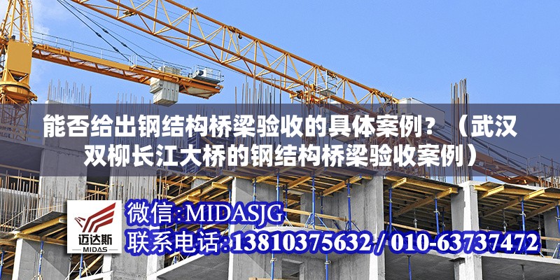 能否給出鋼結(jié)構(gòu)橋梁驗(yàn)收的具體案例？（武漢雙柳長江大橋的鋼結(jié)構(gòu)橋梁驗(yàn)收案例） 行業(yè)新聞