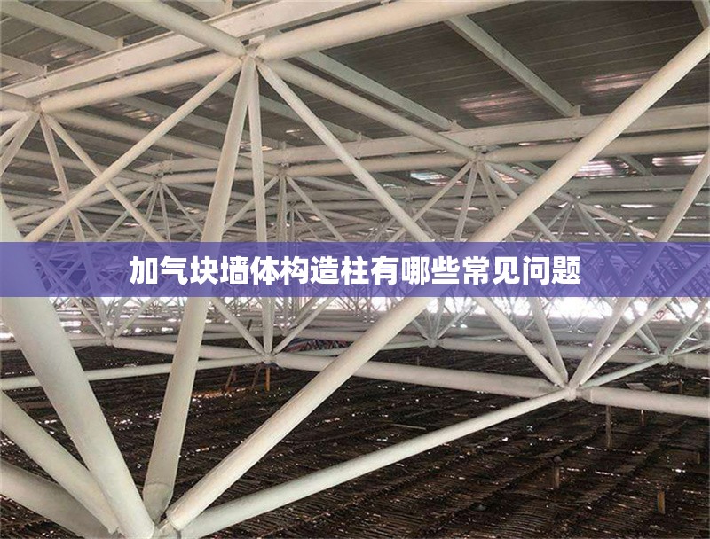 加氣塊墻體構(gòu)造柱有哪些常見問題 行業(yè)新聞
