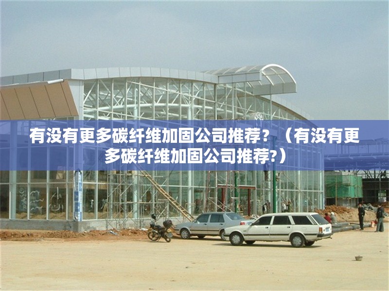 有沒(méi)有更多碳纖維加固公司推薦？（有沒(méi)有更多碳纖維加固公司推薦?） 行業(yè)新聞