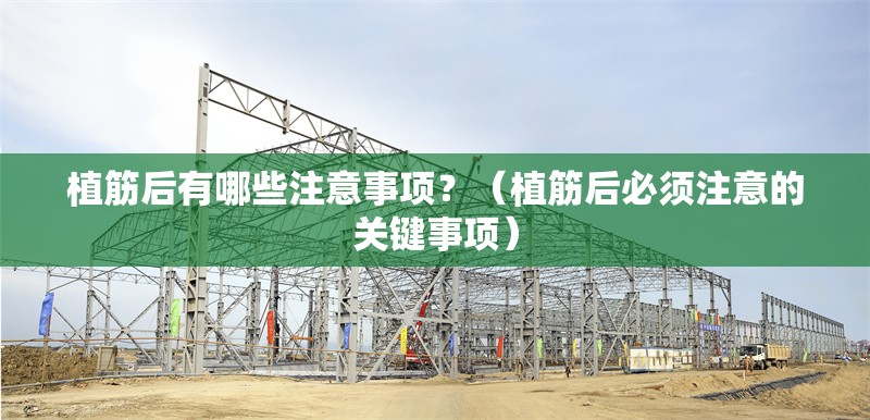植筋后有哪些注意事項(xiàng)？（植筋后必須注意的關(guān)鍵事項(xiàng)） 行業(yè)新聞