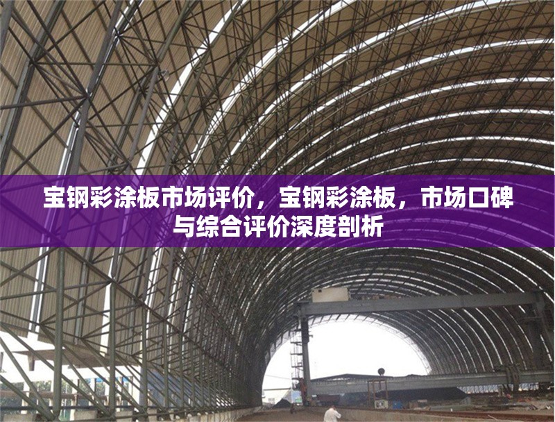 寶鋼彩涂板市場評價，寶鋼彩涂板，市場口碑與綜合評價深度剖析 行業(yè)新聞 第1張