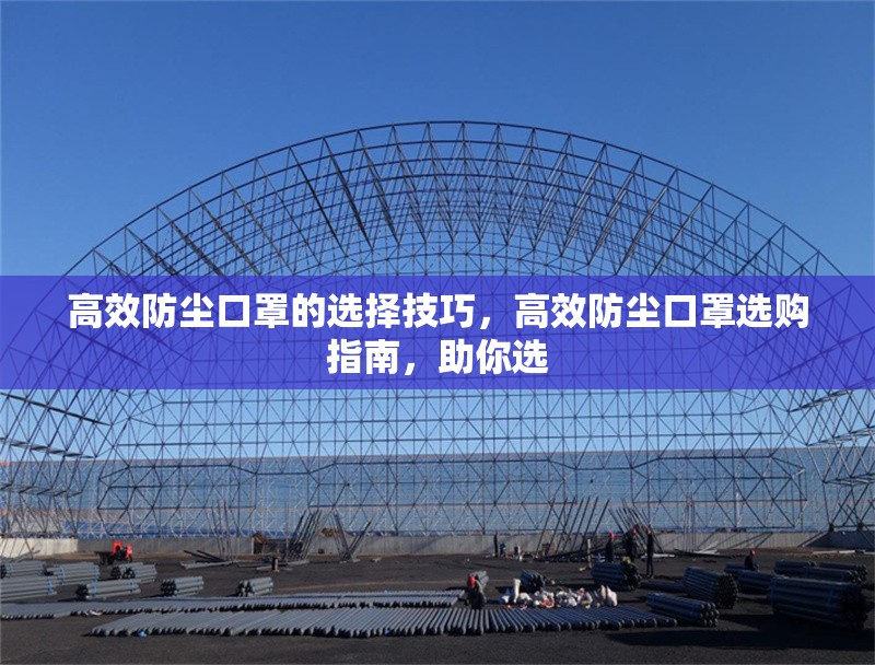 高效防塵口罩的選擇技巧，高效防塵口罩選購指南，助你選