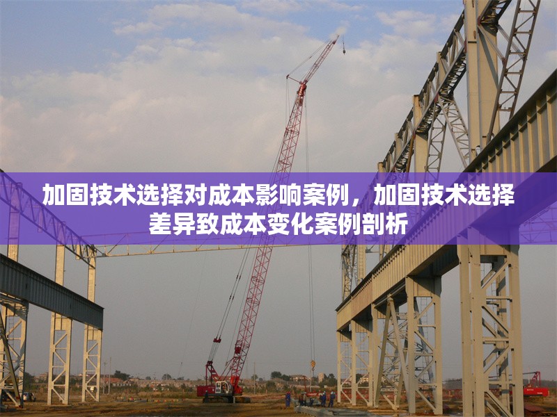 加固技術(shù)選擇對成本影響案例，加固技術(shù)選擇差異致成本變化案例剖析 行業(yè)新聞