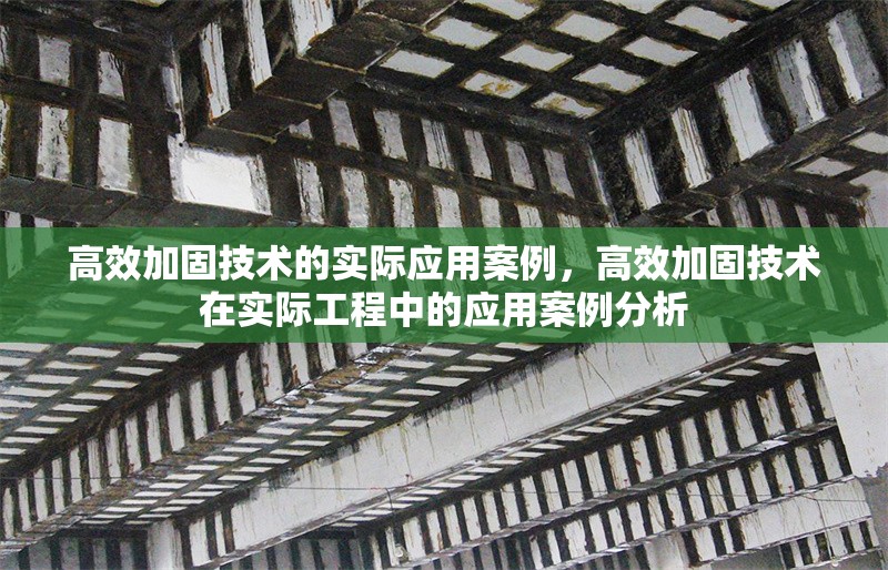 高效加固技術的實際應用案例，高效加固技術在實際工程中的應用案例分析