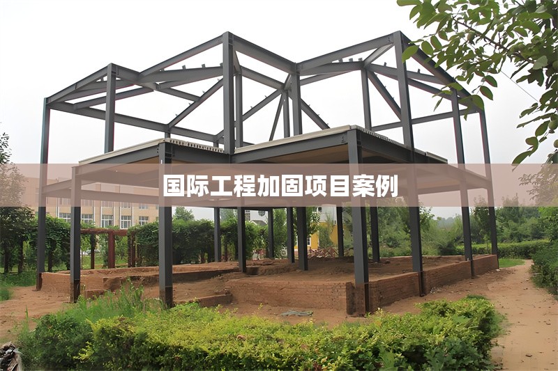 國際工程加固項目案例 行業(yè)新聞 第1張 國際工程加固項目案例 行業(yè)新聞 第1張