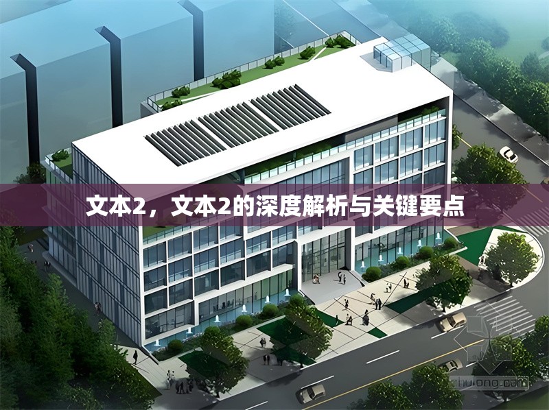 文本2，文本2的深度解析與關(guān)鍵要點(diǎn)